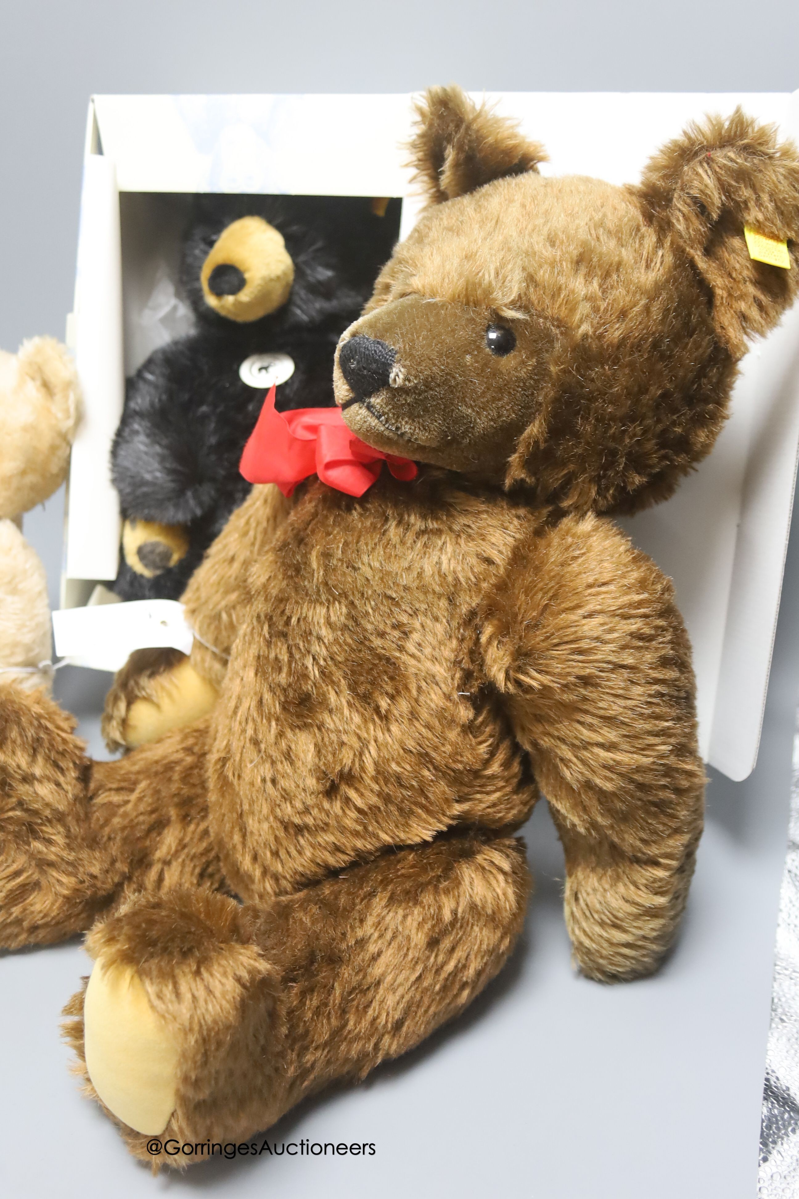 A modern Steiff bear with a 1950 Steiff